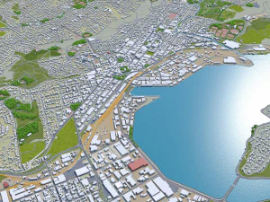 dunedin city new zealand 50km 3D Model