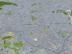Kathmandu city nepal 40km 3D Model