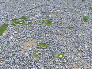 Kathmandu city nepal 40km 3D Model