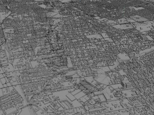 Las cruces city new mexico 50km Model 3D