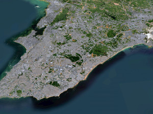 Salvador city brazil 50km 3D 모델