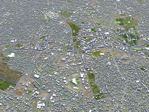 Addis ababa city ethiopia 60km 3D Model