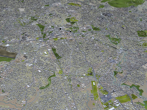 Addis ababa city ethiopia 60km 3D Model