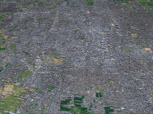 Denpasar city bali indonesia 30km Modelo 3D
