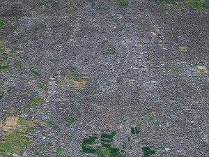Denpasar city bali indonesia 30km 3D Model