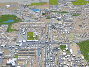 denton city texas usa 40km 3D 模型