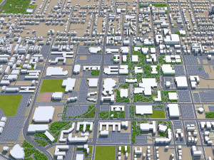 denton city texas usa 40km 3D 模型