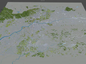 kurume city fukuoka japan 50km 3D Model