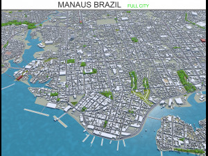 manaus city brazil 40km 3D Model
