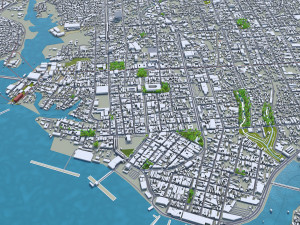 manaus city brazil 40km 3D Model