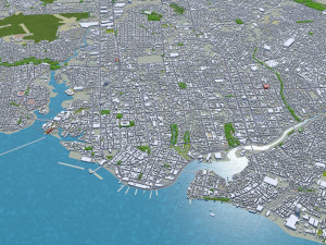 manaus city brazil 40km 3D Model