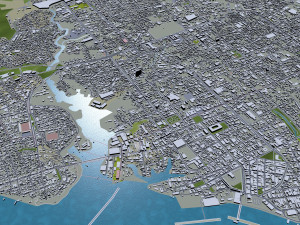 manaus city brazil 40km 3D Model
