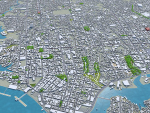 manaus city brazil 40km 3D Model