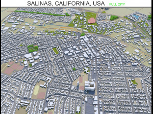 salinas city california usa 20km 3D मॉडल