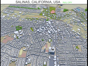 Salinas miasto Kalifornia USA 20 km Model 3D