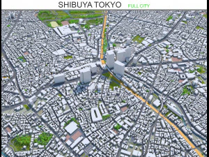 Citt&agrave; di Shibuya, Tokyo, 10 km Modello 3D