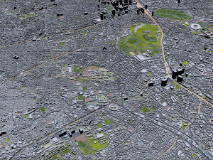 shibuya city tokyo 10km 3D 모델