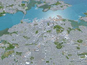 Auckland city new zealand 100km 3D Model