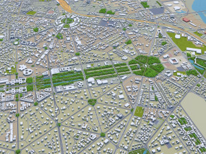 delhi city india 3D 모델