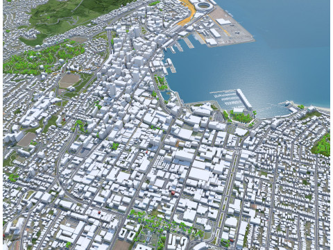 Wellington city new zealand 50km Modelo 3D