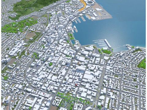 Wellington city new zealand 50km 3D Model