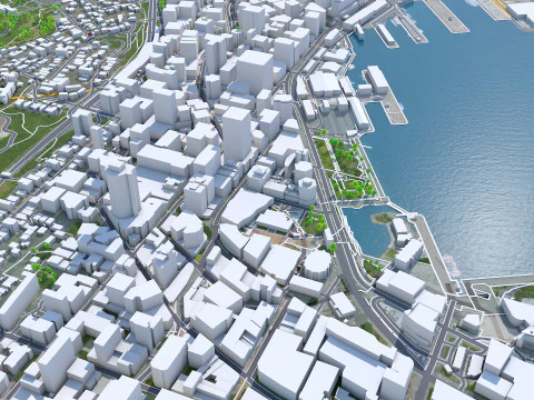 Wellington city new zealand 50km 3D Model