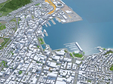 Wellington city new zealand 50km 3D Model