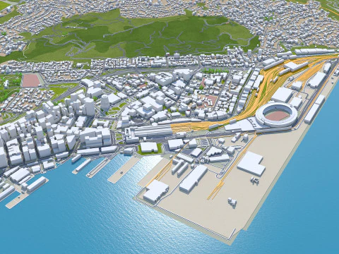 Wellington city new zealand 50km 3D Model