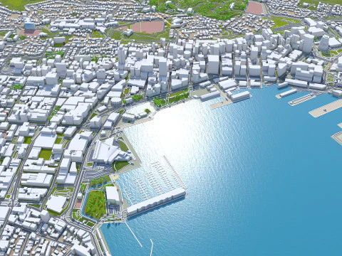 Wellington city new zealand 50km 3D Model