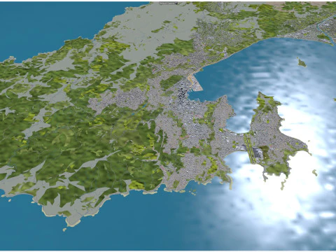 Wellington city new zealand 50km 3D Model