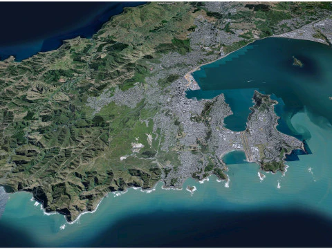 Wellington city new zealand 50km 3D Model