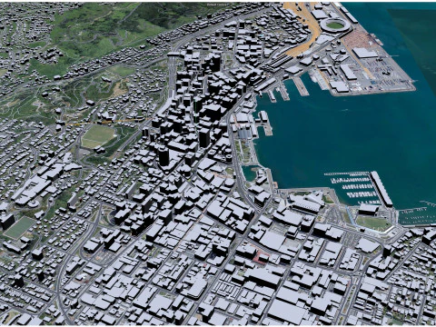 Wellington city new zealand 50km 3D Model