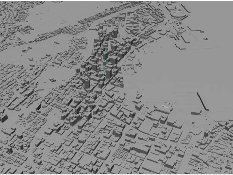 Wellington city new zealand 50km 3D Model