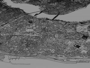 Istanbul city Turkey 50 km 3D Model