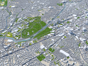 Caracas City Venezuela 40km 3D Model