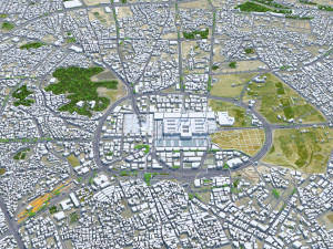 Medina city Saudi Arabia 30km 3D 模型