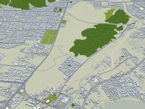Medina city Saudi Arabia 30km 3D 模型