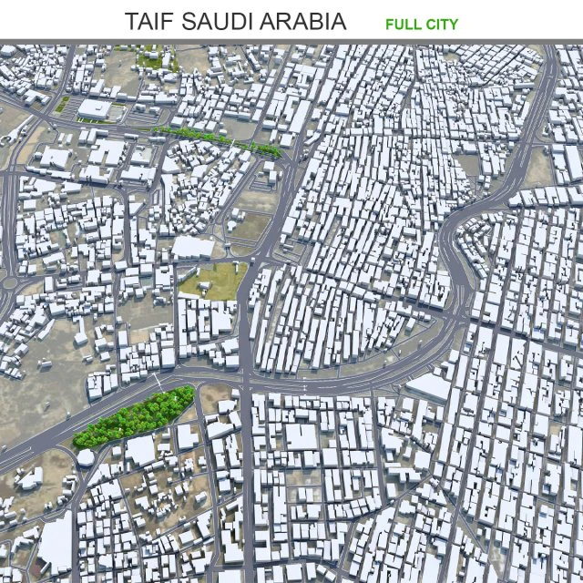 Taif city Saudi Arabia 50km 3D Model .c4d .max .obj .3ds .fbx .stl .blend