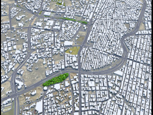 Taif city Saudi Arabia 50km 3Dモデル