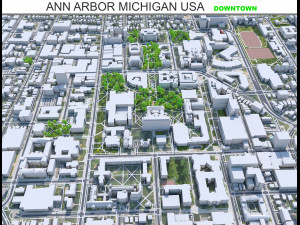 Ann Arbor Downtown city Michigan USA 8km 3D Model