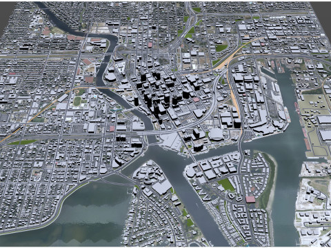 Tampa downtown city Florida USA 5km Model 3D