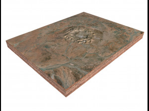 Gosses Bluff Crater Australia Terrain Modèle 3D