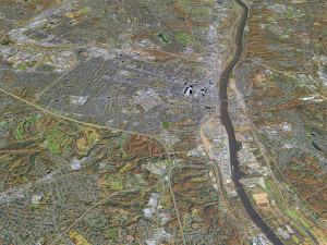 Albany NY USA city 3D 모델