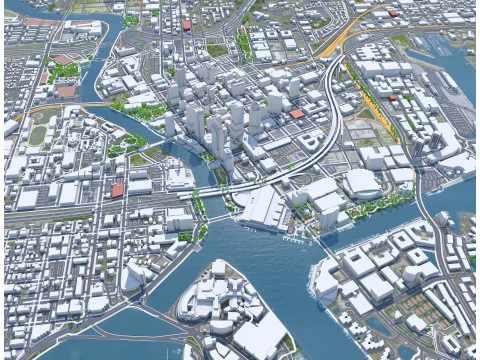 Tampa city Florida USA 50km 3D Model