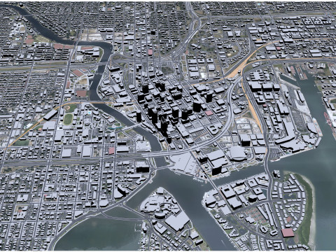 Tampa city Florida USA 50km 3D Модель