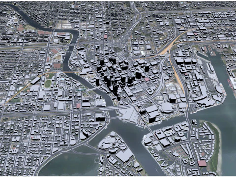 Tampa city Florida USA 50km 3D Model
