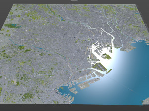 Tokyo city Japan 80km Modelo 3D