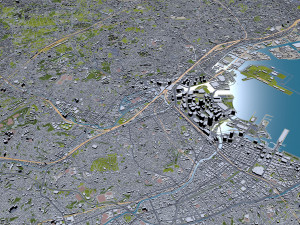 Tokyo city Japan 80km Modelo 3D