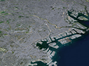 Tokyo city Japan 80km Modelo 3D