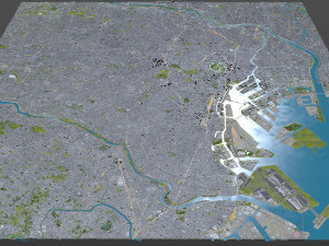Tokyo city Japan 40km 3D Model